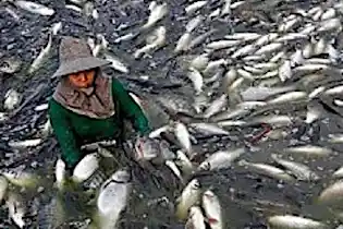 20 Foods Made In China You Should Never Eat