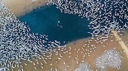 [Photos] Estas Fotos Tomadas Por Drones Habrían Sido Imposibles Hace Solo Unos Años Atrás