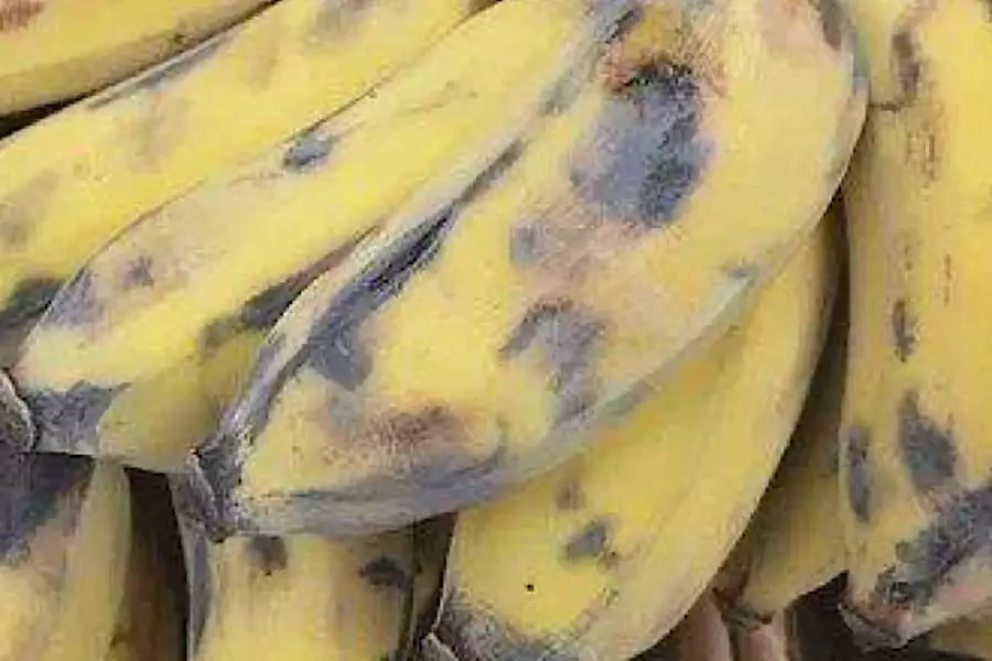 Those Who Suffer From Knee And Hip Pain Should Read This!