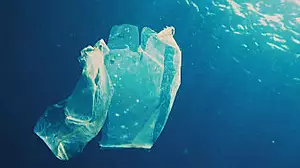 How plastic bags were designed to be eco-friendly