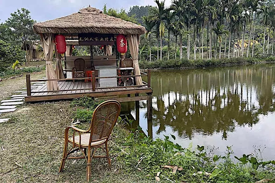 As jobs dry up, China’s migrant workers are returning to their villages and staying put