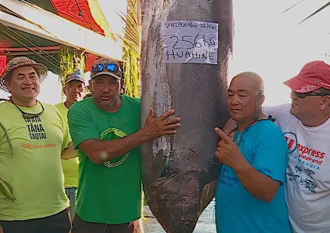 Il pêche l'espadon qui valait un million