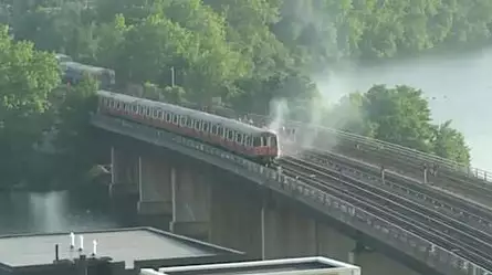 Pasajeros salen por las ventanas y saltan por un puente para escapar de un tren en llamas