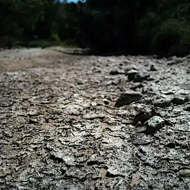 Record number of French regions face water restrictions