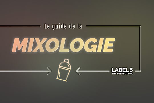 Envie d'épater vos amis avec des cocktails qui changent ?