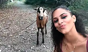 Una joven intenta hacerse un selfie con una cabra.. ¡Y su reacción no tiene precio!