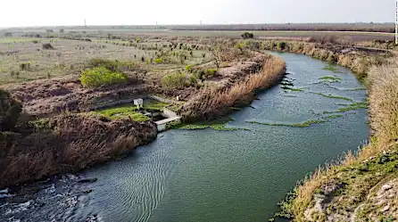 Capturan el momento en que dos inmigrantes mueren ahogados en el Río Grande frente a la Patrulla Fronteriza | Video
