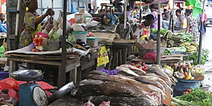 Οι πωλήσεις Pangolin βυθίζονται στη Γκαμπόν για τους φόβους του κοροναϊού