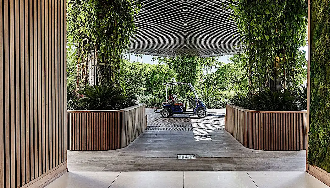 How to Bring Your Walls to Life—Literally