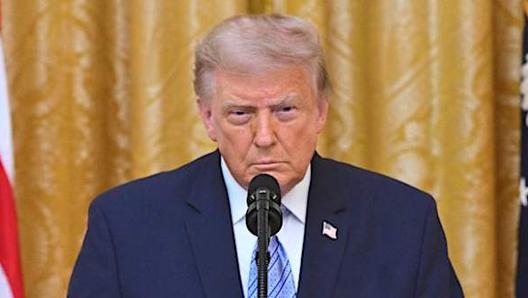 Trump airs sensational claims about ‘meddling’, data theft and fraud in US elections
