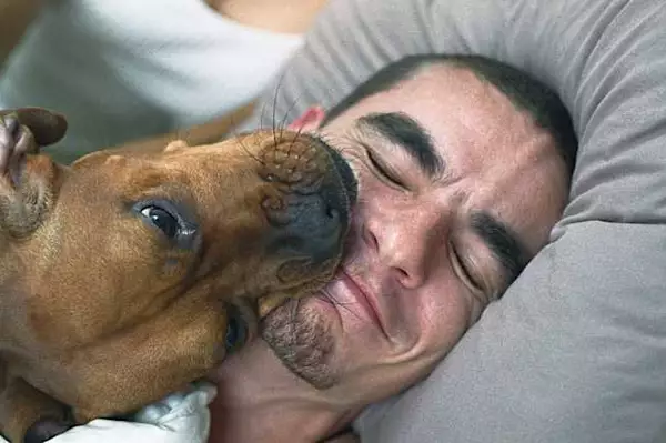 Dog licks arent kisses. Heres what your dog really means when it licks you. Dog licks arent kisses. Heres what your dog really means when it licks you.