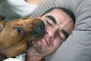 Dog licks arent kisses. Heres what your dog really means when it licks you.
