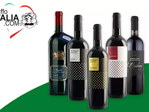 Offerta esclusiva: prendi 6 e paghi 4! Non perdere l'offerta sui migliori vini italiani!