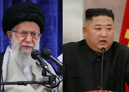 Iran, North Korea had an abysmal 2020 - analysis